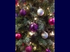 17th Night of the Henley Living Advent Calendar